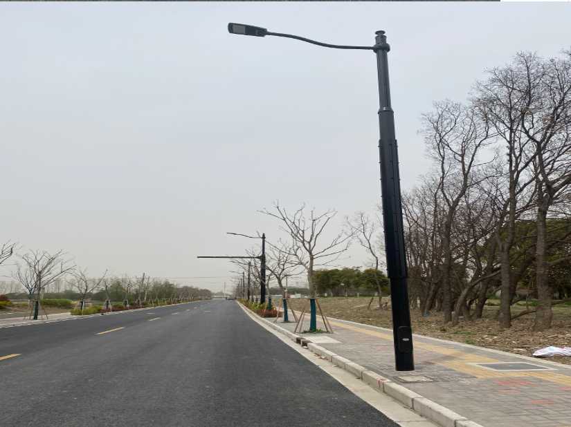 道外区上海综合杆 太阳能路灯工程